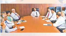 Fertilizante para cultivo de chá a preço subsidiado
