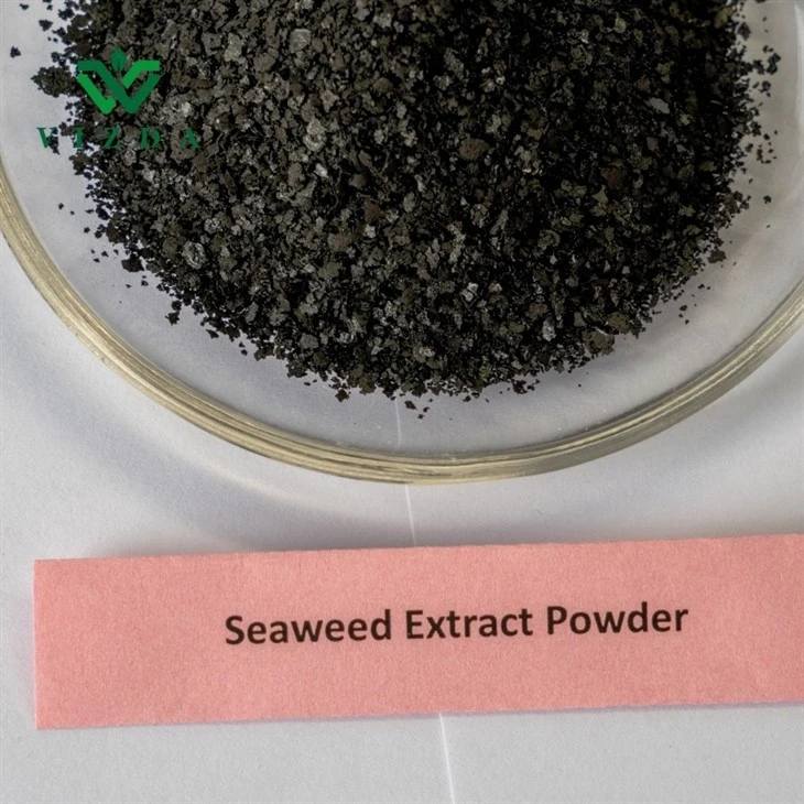 OceanGrow Fertilizer Seaweed Extract