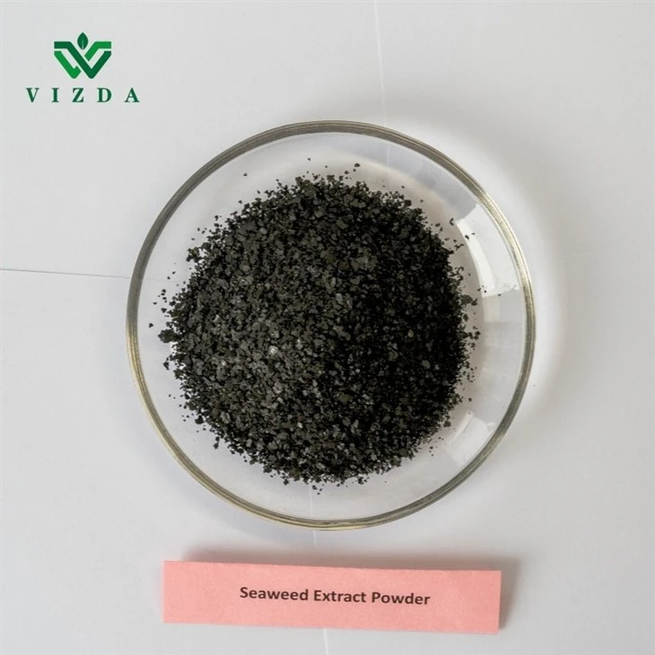 OceanGrow Fertilizer Seaweed Extract