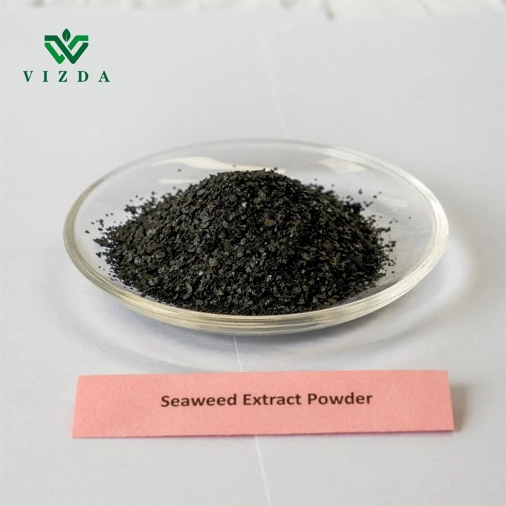Organic Seaweed Extract