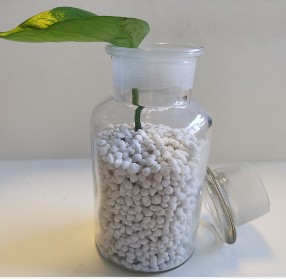 Ammonium Sulfate Granules