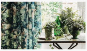 Esses 5 erros comuns podem matar suas plantas de casa neste verão, alertam os...