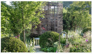 Melhores plantas de companhia de Pittosporum - 5 recomendações de especialist...