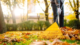 Jardineiros recorrem à cobertura das plantações neste outono para restaurar a...