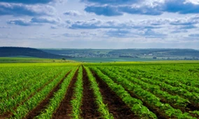 O braço de risco da CLAAS investe na startup alemã de agronomia de IA Phenom-...