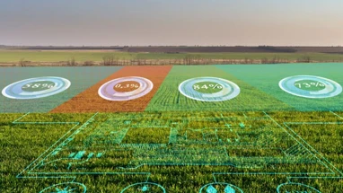 Índia aposta em IA para impulsionar próximo aumento de produtividade agrícola