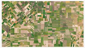 Farmdar e Planet aprofundam a colaboração para avançar a IA - inteligência de...