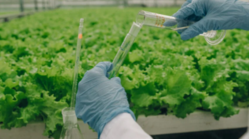 Indústria de fertilizantes muda em direção a sistemas agronômicos integrados,...