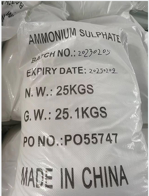 product-307-404